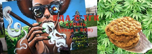 сатива Гусев