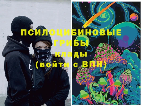 герыч Дмитров