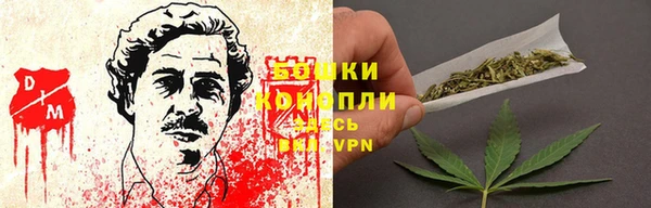 сатива Гусев
