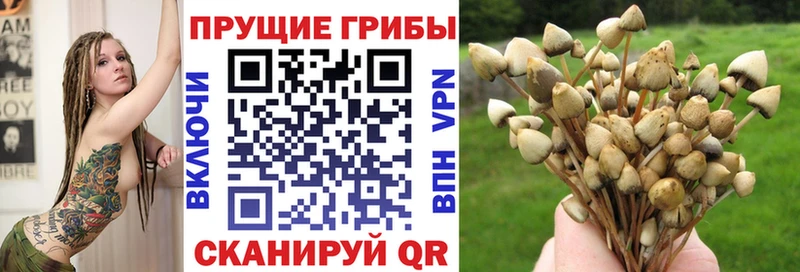 Галлюциногенные грибы ЛСД  МЕГА сайт  Гурьевск  цены  