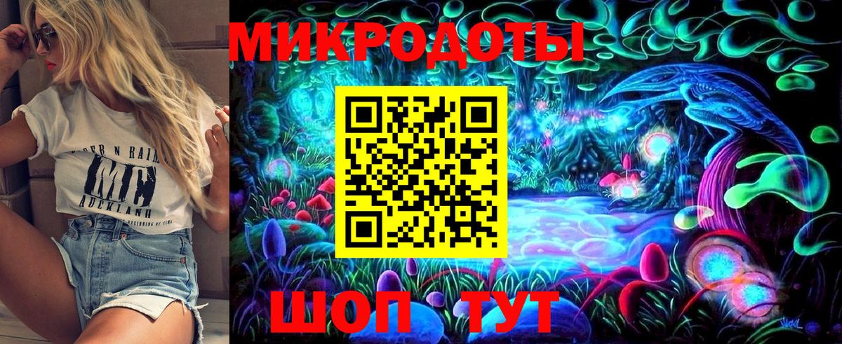 Галлюциногенные грибы Psilocybe  Гурьевск 