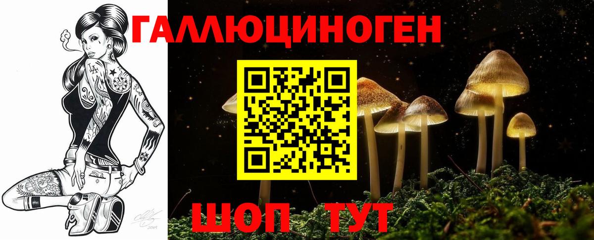 Гурьевск  Псилоцибиновые грибы Cubensis  Галлюциногенные грибы мицелий  Вход с VPN 