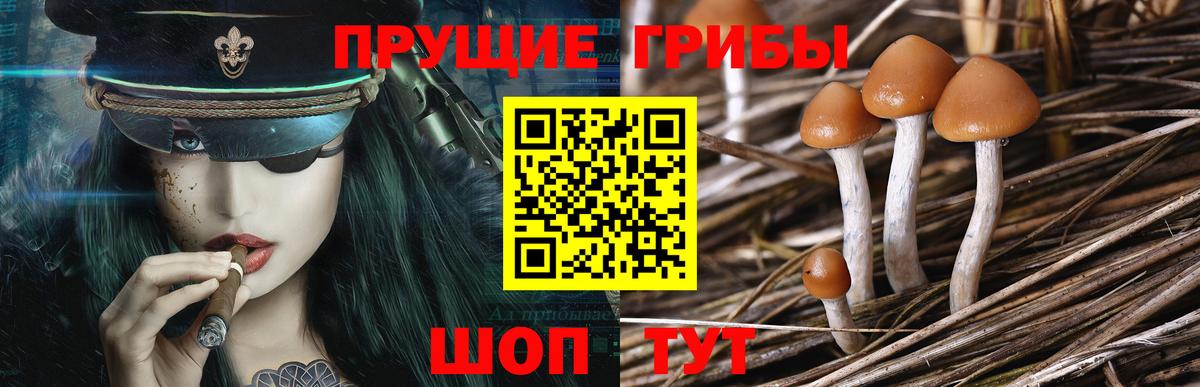 Псилоцибиновые грибы MAGIC MUSHROOMS Гурьевск